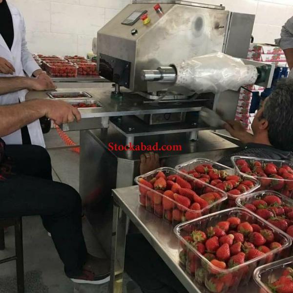 فروش خط سورتینگ میوه وسبزیجات کارکرده در تهران